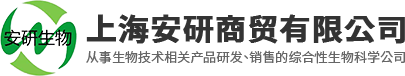 AISO9001J(rn)C-P_(d)ԃ(xn)